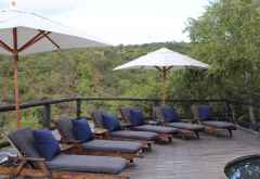 Tshwene Lodge, Poolbereich &copy; Foto: Welgevonden Safari Lodges