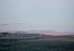 Blick zum Lake Manyara mit Flamingos &copy; Foto: S. Schlesinger