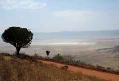 Blick bei der Einfahrt in den Ngorongorokrater &copy; Foto: S.Schlesinger