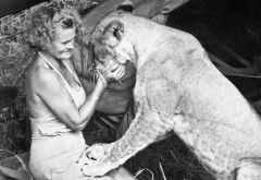 Joy Adamson mit Elsa, die schon fast erwachsen ist. &copy; Foto: www.PBS.org