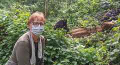Endlich gefunden! Eine Gorillafamilie im Bwindi Impenetrable Forest, Uganda © Foto: Ulrike Pârvu | Outback Africa Erlebnisreisen