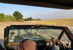 Auf Pirschfahrt am Flussufer im Chobe Nationalpark © Foto: Susanne Schlesinger | Outback Africa