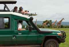 Pirschfahrt im Murchison Falls Nationalpark © Foto: Marco Penzel | Outback Africa