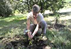 Baum pflanzen im Sanctuary Olonana Camp
