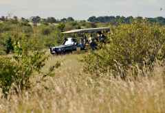 Elephant Pepper Camp, Pirschfahrt &copy; Foto: Marco Penzel | Outback Africa