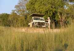 Pirschfahrt im Lower Zambezi Nationalpark © Foto: Ulrike Pârvu | Outback Africa Erlebnisreisen