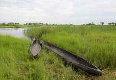 Mokoros im Uferdickicht, Okavango-Delta &copy; Foto: S.Schlesinger| Outback Africa