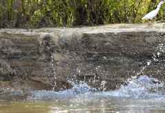Selous Game Reserve, ... das Flusspferdbaby hat es ins Wasser geschafft &copy; Foto: Ulrike Pârvu | Outback Africa
