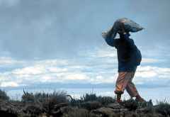 Machame Route, Träger &copy; Foto: Marco Penzel | Outback Africa