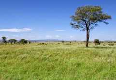 Kati Kati Camp, Blick in die Serengeti &copy; Foto: Judith Nasse | Outback Africa Erlebnisreisen