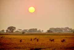 Morgenstimmung in den Busanga Plains &copy; Foto: Renate Kausen und Maik Riede