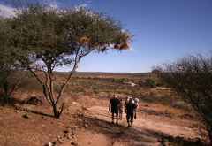 Wanderung zur frühen Morgenstunde &copy; Foto: Doreen Schütze | Outback Africa