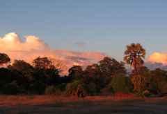 Sonnenuntergang im Liwonde Nationalpark &copy; Foto: Susanne Schlesinger | Outback Africa