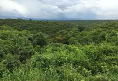 Uganda, Land of Green &copy; Foto: Svenja Penzel | Outback Africa