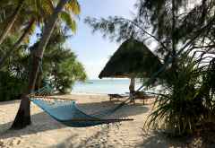 Hängematte am Strand des Pongwe Beach Hotels &copy; Foto: Svenja Penzel | Outback Africa