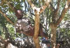 Schulbesuch Dongokundu Grundschule, kleiner Junge im Baum  &copy; Foto: Susanne Schlesinger | Outback Africa