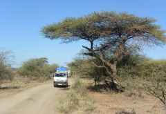 Durch den Awash Nationalpark, Äthiopien © Foto: René Schmidt | Outback Africa