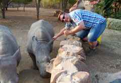 Ants Nest, Auf Ohrfühlung mit einem Breitmaulnashorn &copy; Foto: Jens Doering | Outback Africa