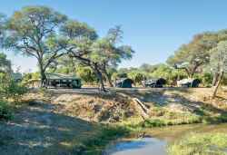 Mababe Private Tented Bush Camp
