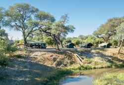 Mababe Private Tented Bush Camp