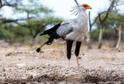 Etosha Village