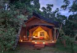 Elephant Pepper Camp