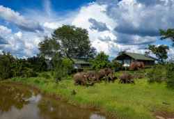 The Wallow Lodge