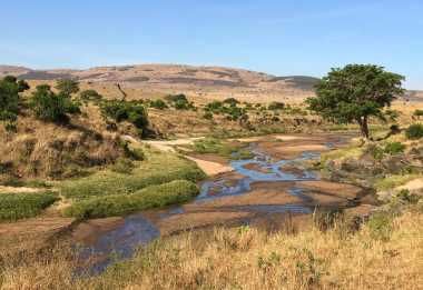 Sand River, Massai Mara &copy; Foto: Svenja Penzel | Outback Africa