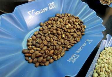 Kilimanjaro Plantation Ltd, Moshi &copy; Foto: S.Schlesinger