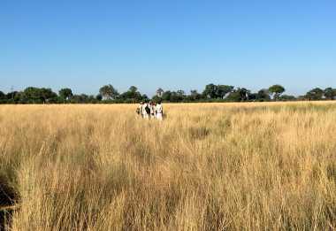 Auf Fußpirsch mit Carl im Okavango-Delta &copy; Foto: Svenja Penzel | Outback Africa