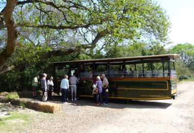 Wine Tram Franschhoek &copy; Foto: Doreen Krausche | Outback Africa
