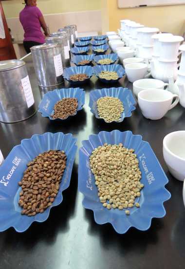 Kilimanjaro Plantation Ltd, Moshi &copy; Foto: S.Schlesinger