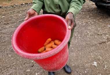 Snacks für die Nashörner in der Ol Pejeta Conservancy © Foto: Jacqueline Korb | Outback Africa Erlebnisreisen
