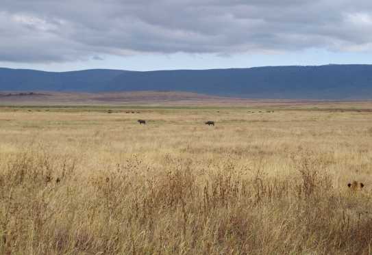Ngorongoro-Krater