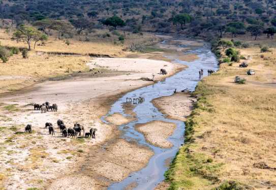 Safari im Tarangire Nationalpark