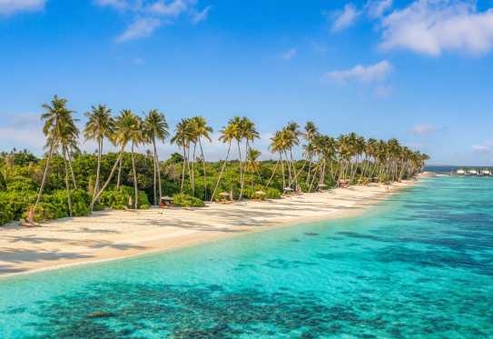 Palmenstrand auf Sansibar