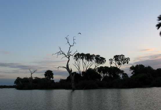 Früher Morgen auf dem Lake Nzerakera, Nyerere Nationalpark &copy; Foto: Svenja Penzel | Outback Africa