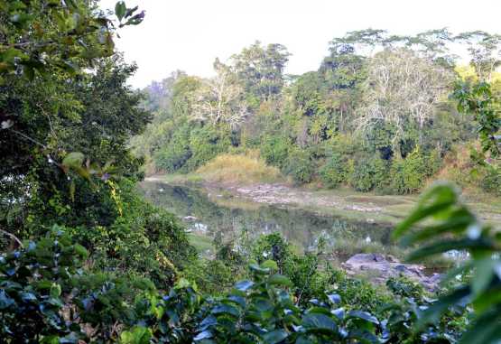 Tongole Wilderness Lodge, Blick von meiner Terrasse auf den Bua River &copy; Foto: Svenja Penzel | Outback Africa
