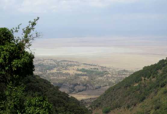 Blick in den Ngorongorokrater bei der Ausfahrt &copy; Foto: S.Schlesinger
