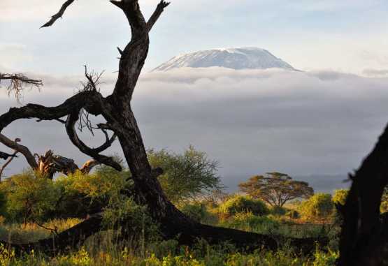 Am Morgen zeigt sich endlich der Kilimanjaro! © Foto: Marco Penzel | Outback Africa