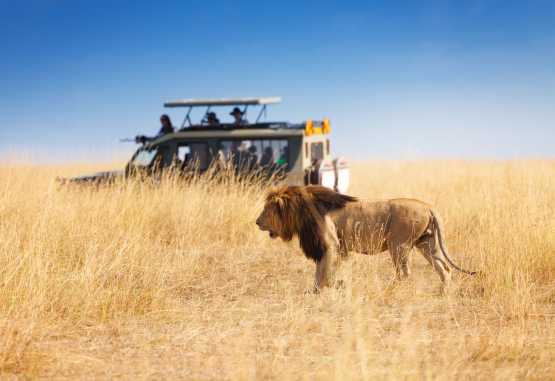 Gleißende Sonne, große Hitze und scheue Tiere. Afrika verlangt von der Ausrüstung das Maximum ab. &copy; Foto: Sergey Novikov - Fotolia