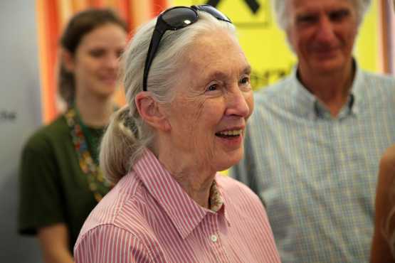 Dr Jane Goodall bei der Preisverleihung "My Way" 2015 &copy; Foto: Franz Johann Morgenbesser | Wikimedia Commons