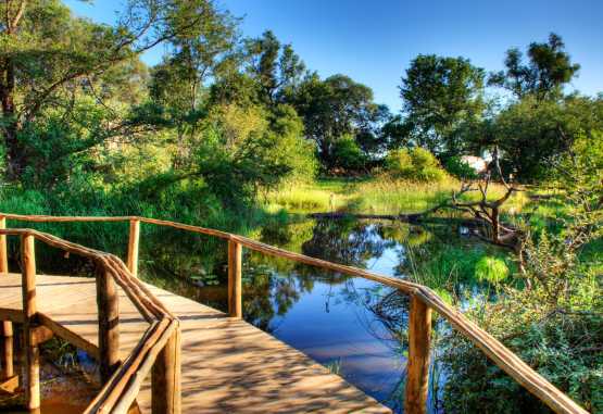 Camp Okuti, Außenbereich &copy; Foto: Stuart James Arnold / Kalahari Images