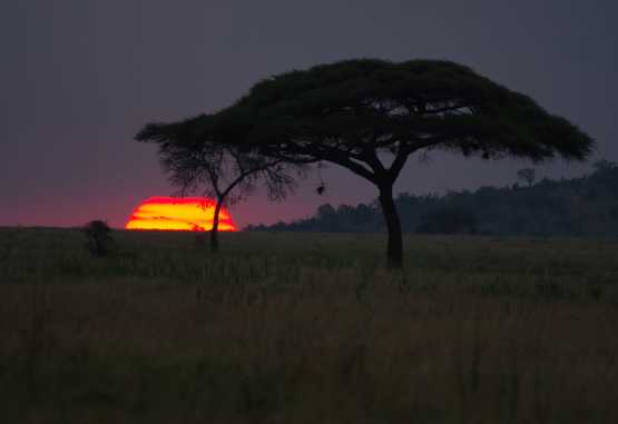 Sonnenuntergang in der Serengeti &copy; Foto: Judith Nasse | Outback Africa