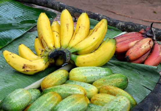 Verschiedene Bananenarten. &copy; Foto: Marco Penzel | Outback Africa