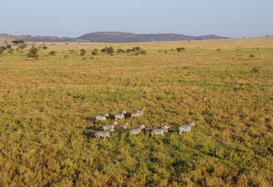 Serengeti Balloon Safaris &copy; Foto: Judith Nasse | Outback Africa