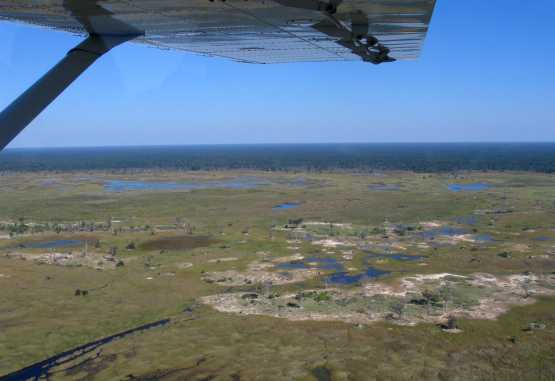 Flug über Savuti zum Sango Safari Camp © Foto: Svenja Penzel | Outback Africa