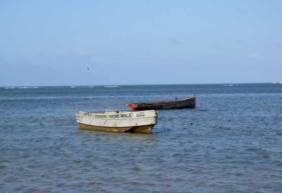 Malindi, Fischerboote &copy; Foto: Susanne Schlesinger | Outback Africa