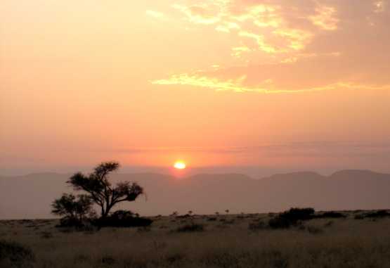 Sonnenaufgang über der Wüste &copy; Foto: Susanne Schlesinger | Outback Africa