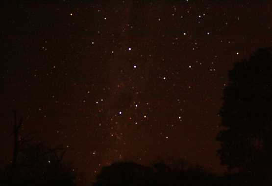 Sternenhimmel mit Kreuz des Südens im Mkuzi Wildreservat &copy; Foto: Doreen Schütze | Outback Africa